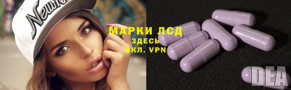эйфоретик Алзамай