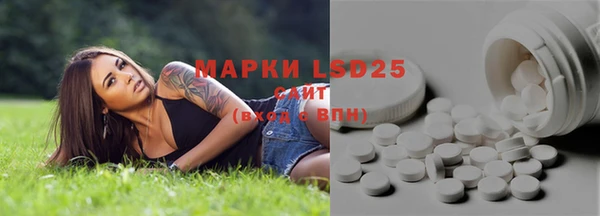 эйфоретик Алзамай