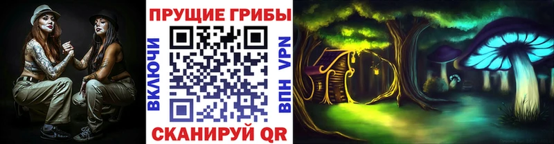 Псилоцибиновые грибы прущие грибы  ОМГ ОМГ как зайти  Орлов 
